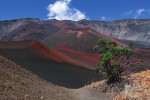 Haleakala Crater, Maui, Hawaii / foto: Marek Kosiba