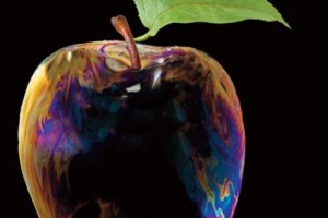 „Raj w jabłku zaklęty” – promocja książki Marzanny Danek.