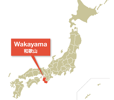 Wieści z Wakayama niedaleko Tokio