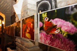 „Święta, święta…i po świętach” czyli fotorelacja z 1 Urodzin naszego portalu.