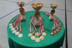 VII Turniej Piłki Siatkowej o Puchar Górnej Austrii.